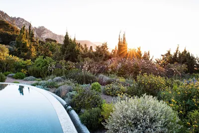 Anlamın Sonundaki Asit Bahçesi