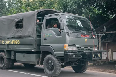 Грунтовые дороги, которые уничтожают среду обитания и спасают жизни