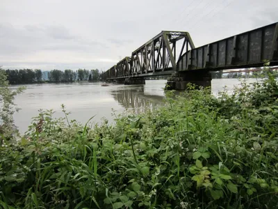 Dünün Nehri Üzerindeki Köprü