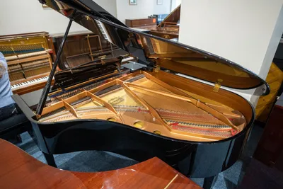 Wyczyść klawisze fortepianu