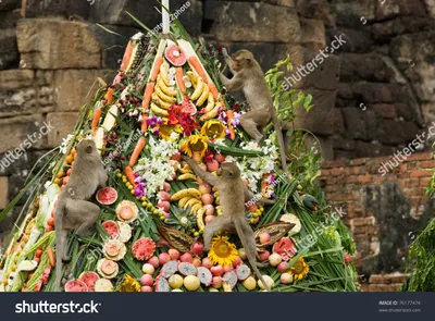 Maymun Ziyafeti Festivali, Tayland