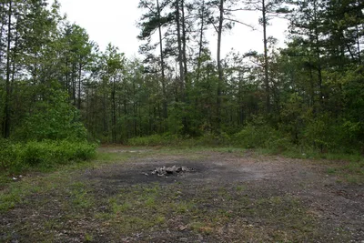 Devil's Tramping Ground, EUA