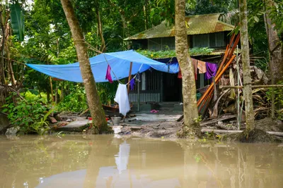 Наводнения, которые топят поля и кормят леса