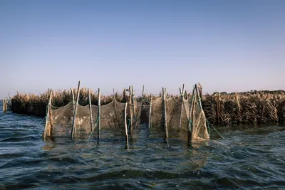 Kerkennah — Sabırla İşleyen Takımada