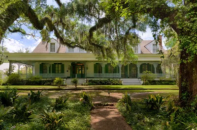A Plantation Myrtles
