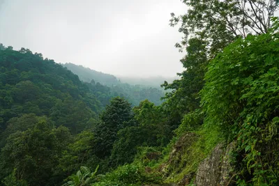 Тишина, означающая и опасность, и безопасность