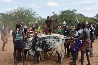 Boğa Atlama Töreni
