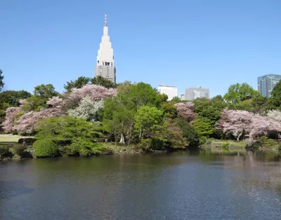 Shinjuku Gyoen, Tokyo