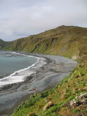 Wyspa Macquarie, Ocean Południowy