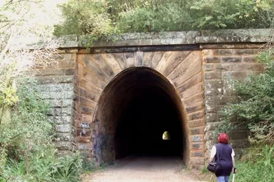 The Picton Tunnels