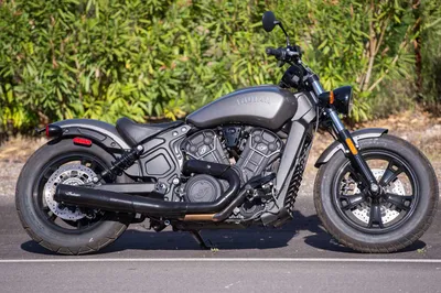Indian Scout