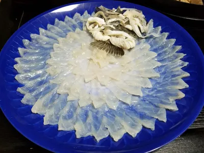 Sashimi z fugu (tessa)