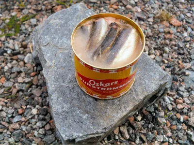Surströmming, Suède