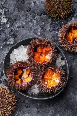 Pizza Margherita cu Uni de Mare în Italia