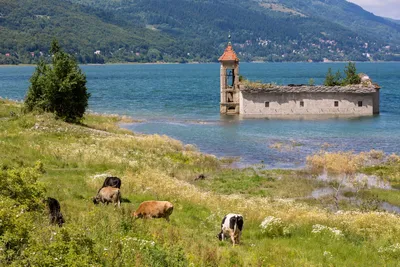 Mavrovo National Park