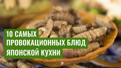10 самых провокационных блюд японской кухни
