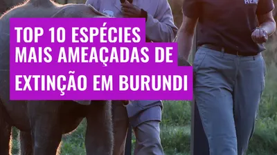 Top 10 Espécies Mais Ameaçadas de Extinção em Burundi
