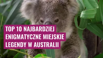 Top 10 Najbardziej enigmatyczne miejskie legendy w Australii
