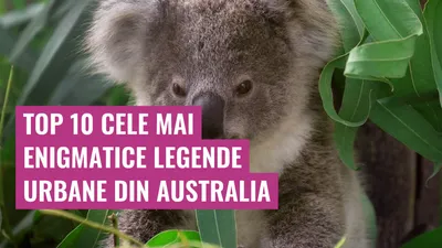 Top 10 Cele mai Enigmatice Legende Urbane din Australia
