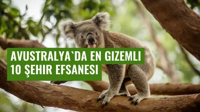 Avustralya'da En Gizemli 10 Şehir Efsanesi
