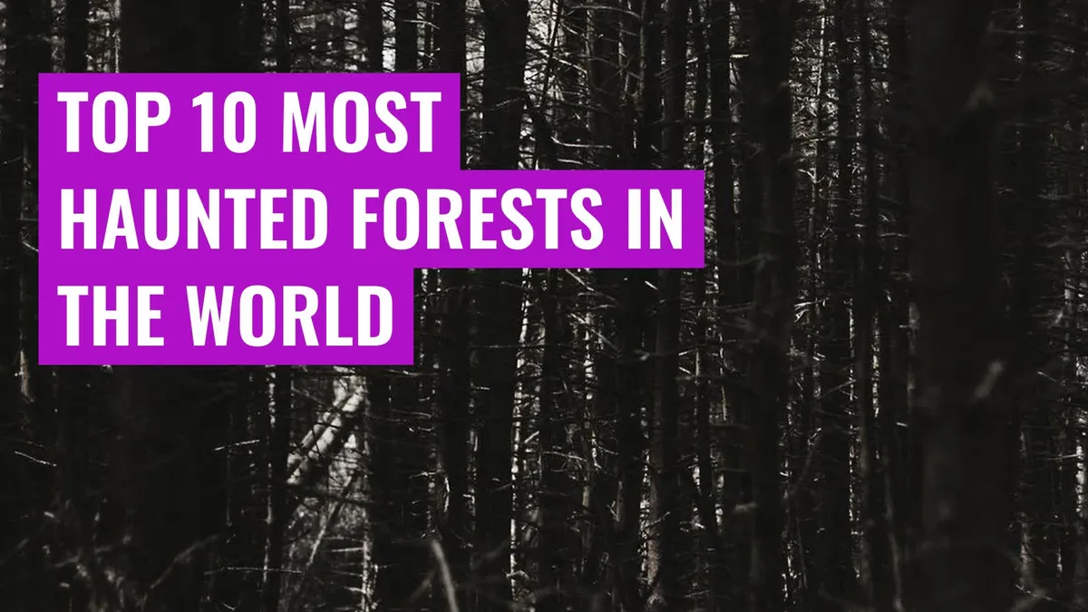 top-10-most-haunted-forests-in-the-world