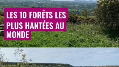 Les 10 forêts les plus hantées au monde
