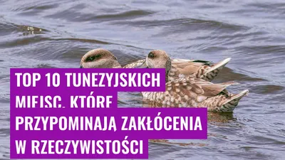 Top 10 tunezyjskich miejsc, które przypominają zakłócenia w rzeczywistości
