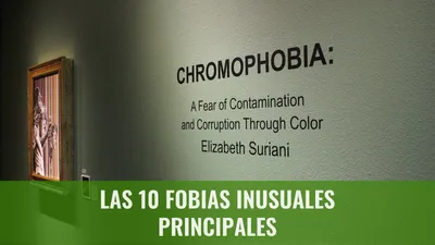 Las 10 fobias inusuales principales
