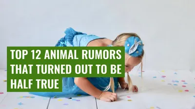 Top 12 Animal Rumors That Turned Out To Be Half True
