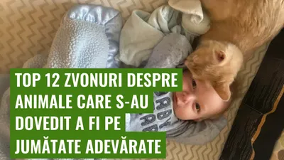 Top 12 zvonuri despre animale care s-au dovedit a fi pe jumătate adevărate
