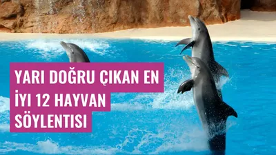 Yarı Doğru Çıkan En İyi 12 Hayvan Söylentisi
