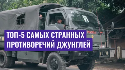 Топ-5 самых странных противоречий джунглей
