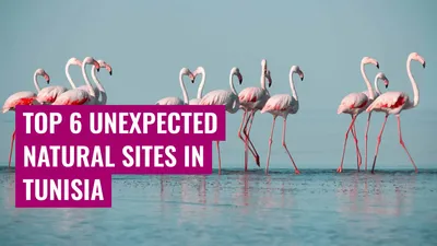 Top 6 Unexpected Natural Sites in Tunisia

