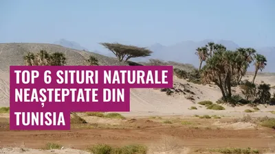 Top 6 Situri Naturale Neașteptate din Tunisia
