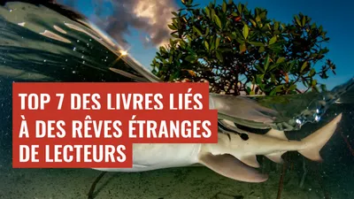 Top 7 des livres liés à des rêves étranges de lecteurs
