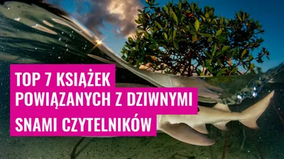 Top 7 Książek Powiązanych z Dziwnymi Snami Czytelników
