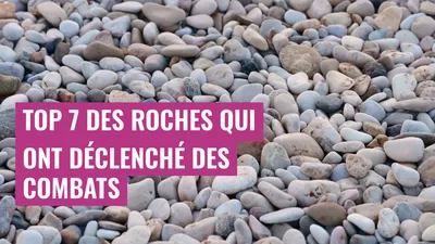 Top 7 des roches qui ont déclenché des combats
