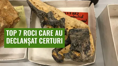 Top 7 roci care au declanșat certuri