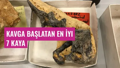 Kavga Başlatan En İyi 7 Kaya